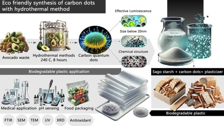 Illustration Blogs Scientific illustration showing the eco-friendly synthesis of carbon dots from avocado waste using the hydrothermal method, and their application in biodegradable plastic using sago starch and plasticizers.
